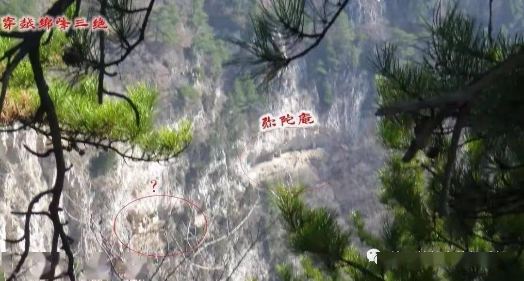 极地大逃亡